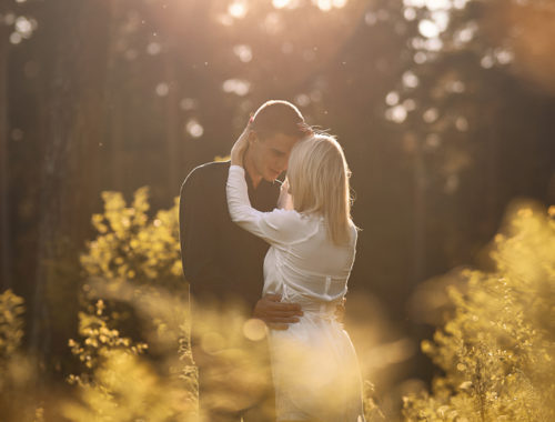 zdjęcie sesja foto mmseta mmseta_photo Mniszek sesja narzeczeńska sesja małżeńska sesja par